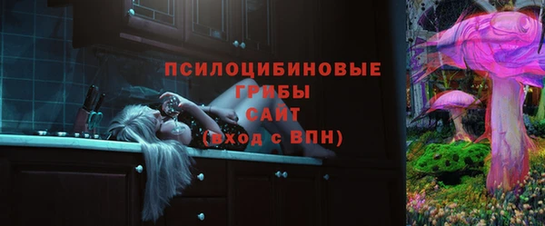 гидра Киренск