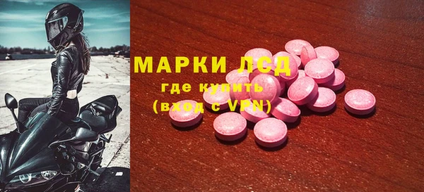 гидра Киренск