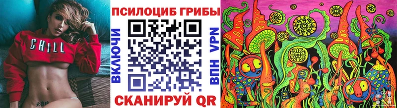 Галлюциногенные грибы GOLDEN TEACHER  Купить  Шадринск 