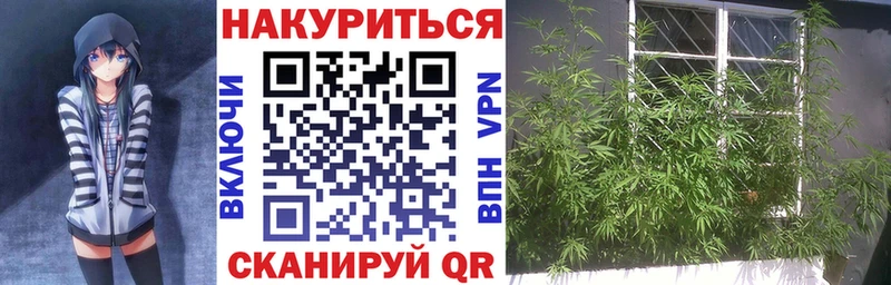 Бошки Шишки SATIVA & INDICA Шадринск